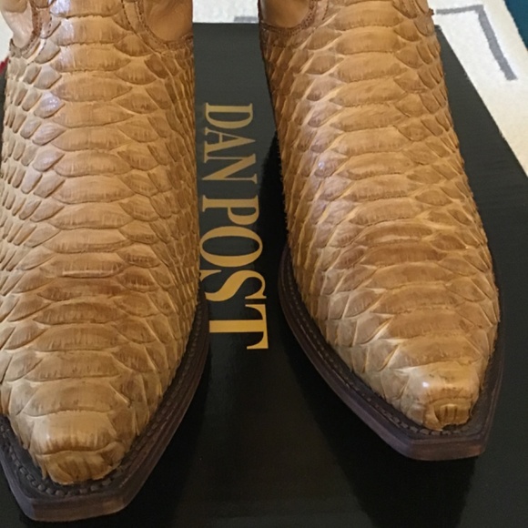 Cowboy boots- DAN POST Honey Waxy 9.5 EW Python - Picture 2 of 14
